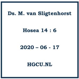 Prek Cd Van 17062020 Ds. M. Van Sligtenhorst